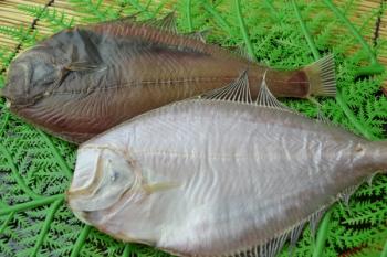 大吉水産(大吉水産)/【北海道産！】【極上の一夜干し宗八かれい】上品でたんぱくな白身！