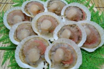 清藤水産(清藤水産)/海に山に大活躍な１０セット！（真空パック２０袋に分けております）【片貝ホタテ】　【冷凍】　【加熱用】　【９～１１枚入×１０セット】　【バーベキュー】　【お鍋】　【バター焼き】　２つに分けて真空パックにて発送いたしますので少しづつ使うのに大変便利ですヨォ！　